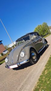 Cox CABRIO 62