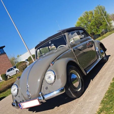 Cox CABRIO 62
